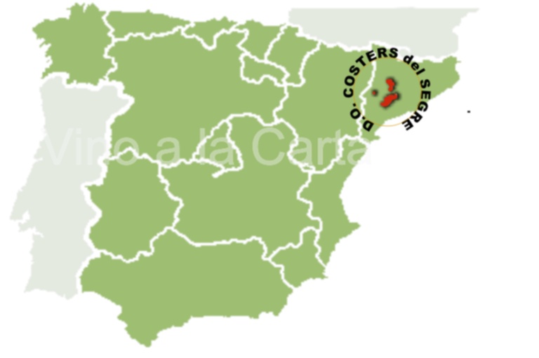 D.O COSTERS DEL SEGRE