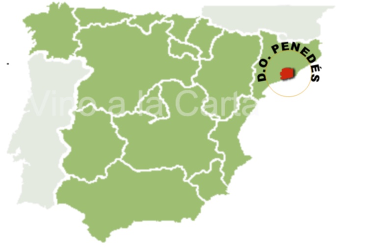 D.O PENEDES
