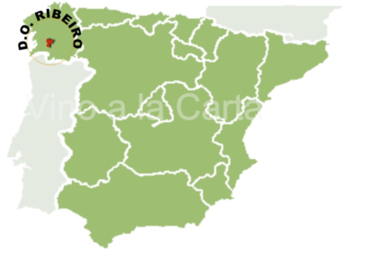 D.O RIBEIRO