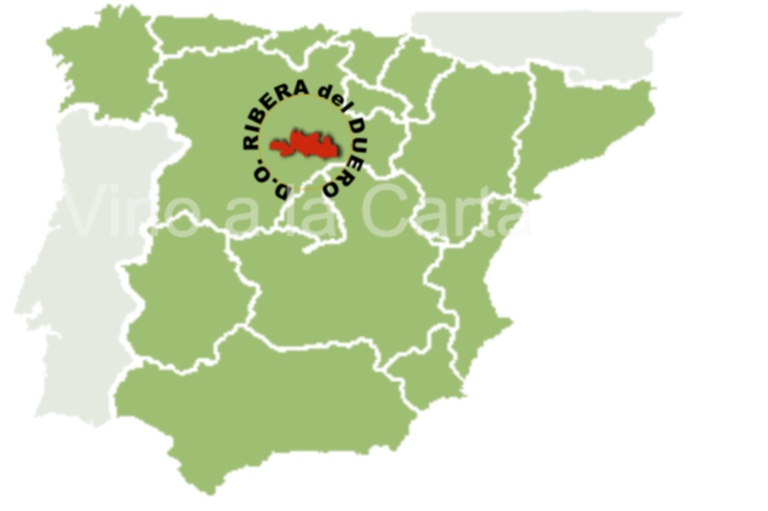 D.O RIBERA DEL DUERO