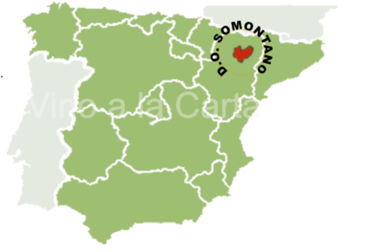 D.O SOMONTANO